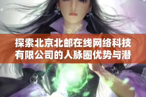 探索北京北邮在线网络科技有限公司的人脉圈优势与潜力分析