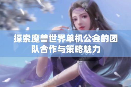 探索魔兽世界单机公会的团队合作与策略魅力