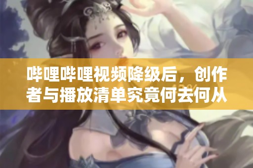 哔哩哔哩视频降级后，创作者与播放清单究竟何去何从