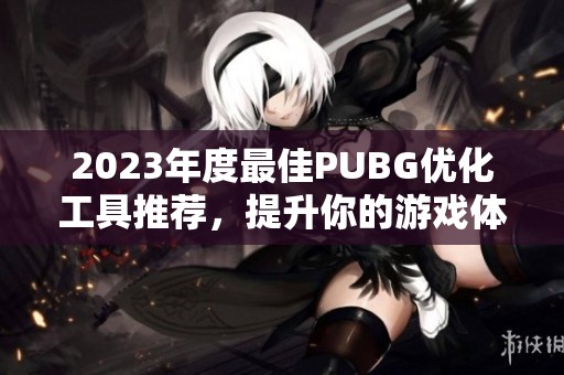 2023年度最佳PUBG优化工具推荐，提升你的游戏体验