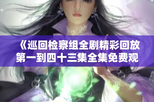 《巡回检察组全剧精彩回放第一到四十三集全集免费观看》