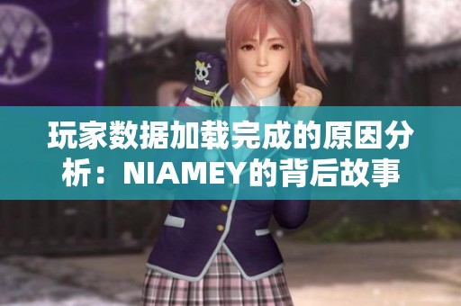 玩家数据加载完成的原因分析：NIAMEY的背后故事