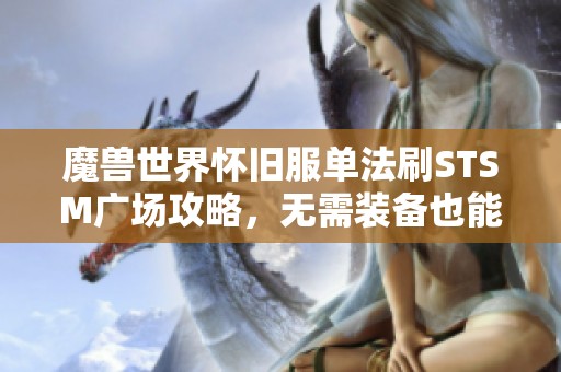 魔兽世界怀旧服单法刷STSM广场攻略，无需装备也能高收益