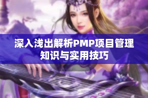 深入浅出解析PMP项目管理知识与实用技巧