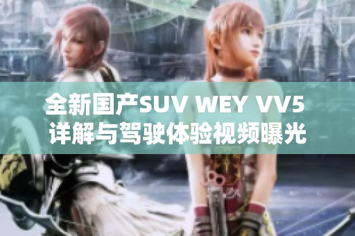 全新国产SUV WEY VV5 详解与驾驶体验视频曝光