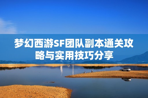 梦幻西游SF团队副本通关攻略与实用技巧分享