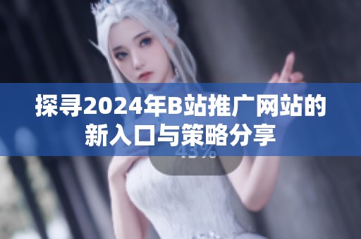 探寻2024年B站推广网站的新入口与策略分享