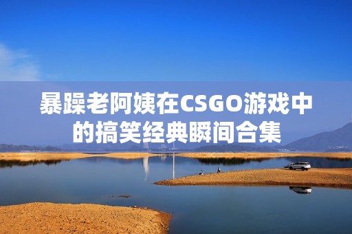 暴躁老阿姨在CSGO游戏中的搞笑经典瞬间合集