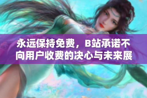 永远保持免费，B站承诺不向用户收费的决心与未来展望