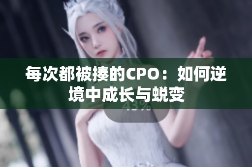 每次都被揍的CPO：如何逆境中成长与蜕变