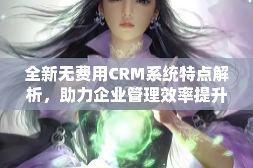 全新无费用CRM系统特点解析，助力企业管理效率提升