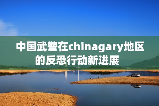 中国武警在chinagary地区的反恐行动新进展  