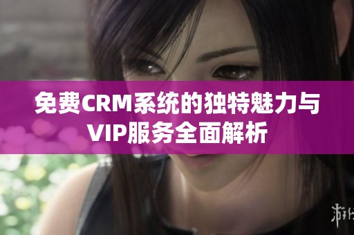 免费CRM系统的独特魅力与VIP服务全面解析