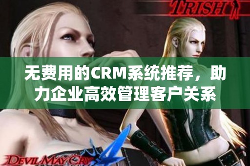 无费用的CRM系统推荐，助力企业高效管理客户关系