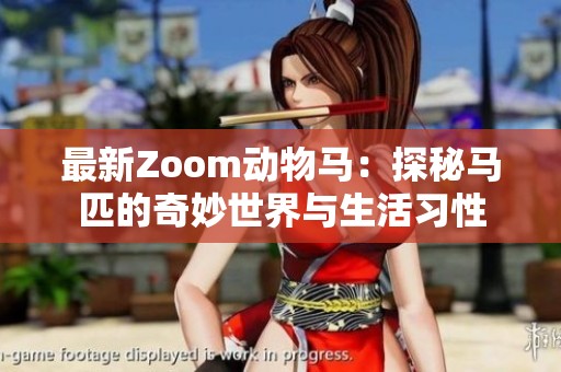 最新Zoom动物马：探秘马匹的奇妙世界与生活习性