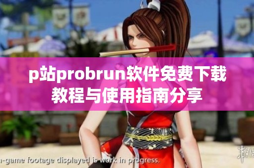 p站probrun软件免费下载教程与使用指南分享