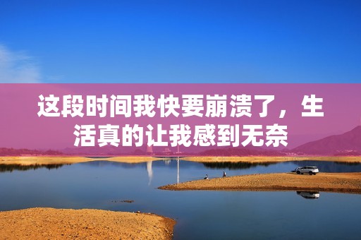 这段时间我快要崩溃了，生活真的让我感到无奈