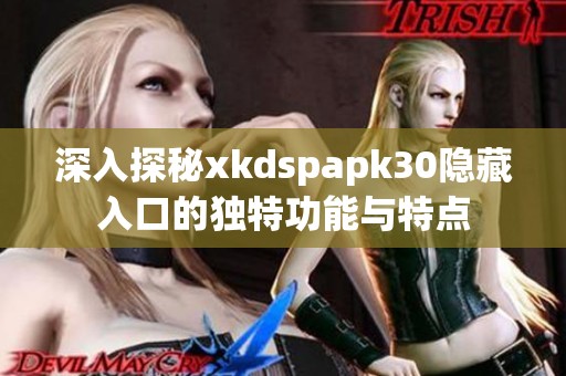 深入探秘xkdspapk30隐藏入口的独特功能与特点