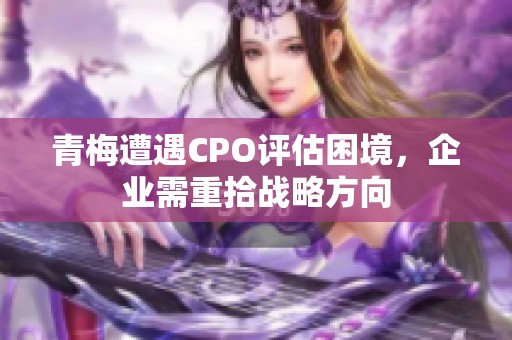 青梅遭遇CPO评估困境，企业需重拾战略方向