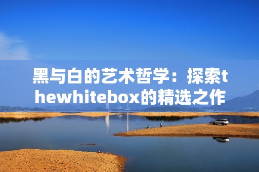 黑与白的艺术哲学：探索thewhitebox的精选之作