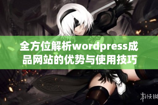 全方位解析wordpress成品网站的优势与使用技巧