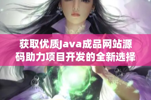 获取优质Java成品网站源码助力项目开发的全新选择