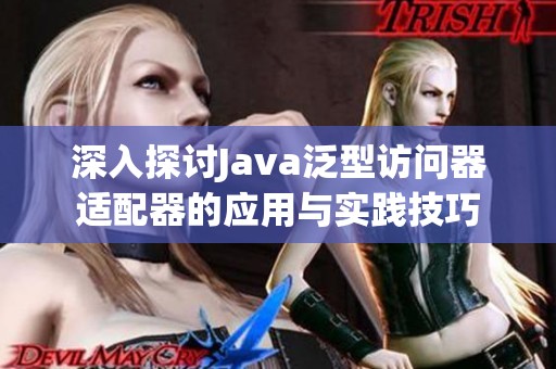 深入探讨Java泛型访问器适配器的应用与实践技巧