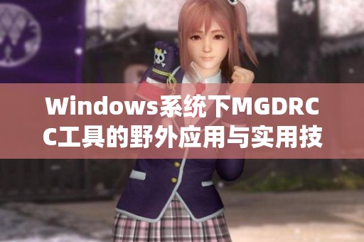 Windows系统下MGDRCC工具的野外应用与实用技巧探讨