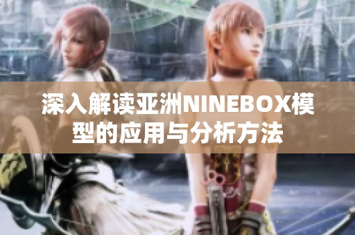 深入解读亚洲NINEBOX模型的应用与分析方法