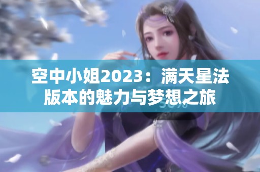 空中小姐2023：满天星法版本的魅力与梦想之旅