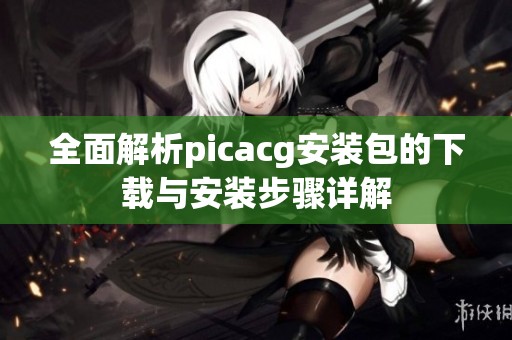 全面解析picacg安装包的下载与安装步骤详解