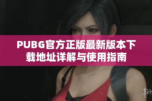 PUBG官方正版最新版本下载地址详解与使用指南