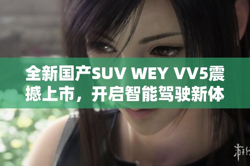 全新国产SUV WEY VV5震撼上市，开启智能驾驶新体验