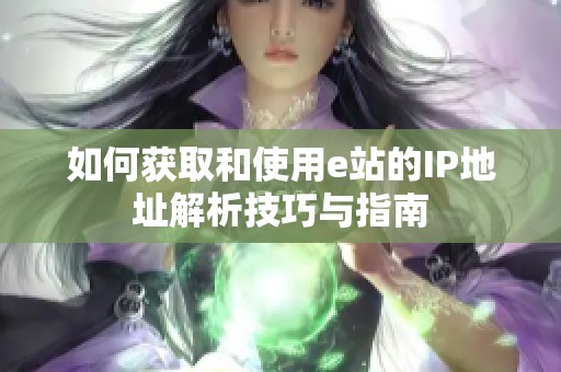 如何获取和使用e站的IP地址解析技巧与指南