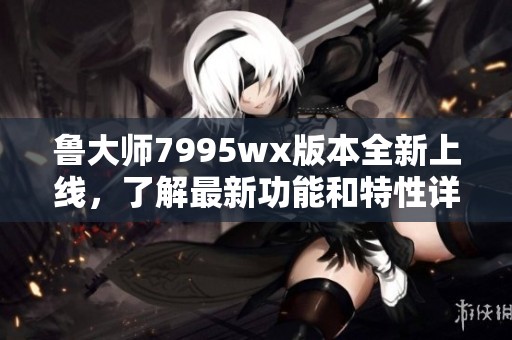 鲁大师7995wx版本全新上线，了解最新功能和特性详解