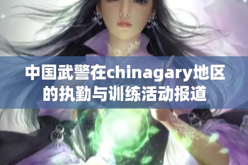 中国武警在chinagary地区的执勤与训练活动报道