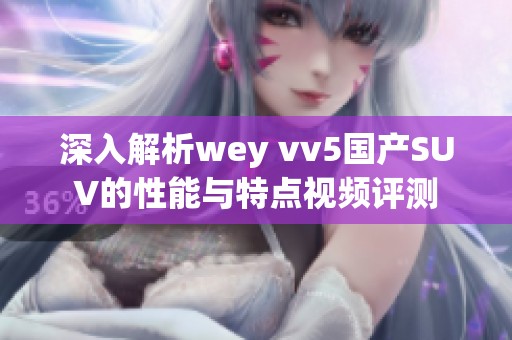 深入解析wey vv5国产SUV的性能与特点视频评测