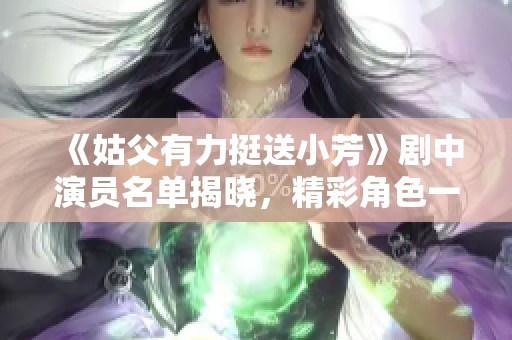 《姑父有力挺送小芳》剧中演员名单揭晓，精彩角色一览