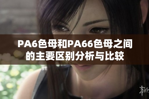 PA6色母和PA66色母之间的主要区别分析与比较