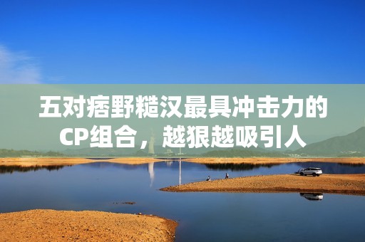 五对痞野糙汉最具冲击力的CP组合，越狠越吸引人