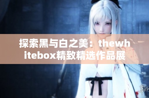 探索黑与白之美：thewhitebox精致精选作品展