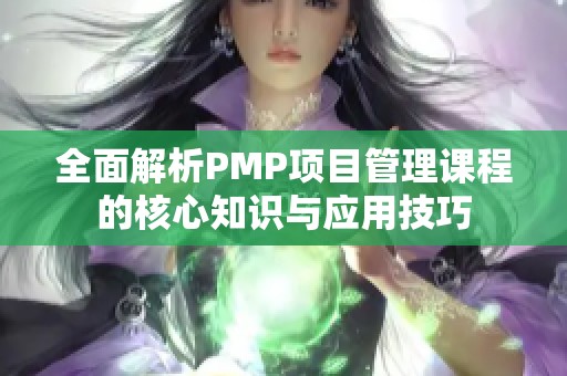 全面解析PMP项目管理课程的核心知识与应用技巧