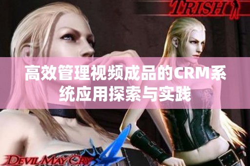 高效管理视频成品的CRM系统应用探索与实践