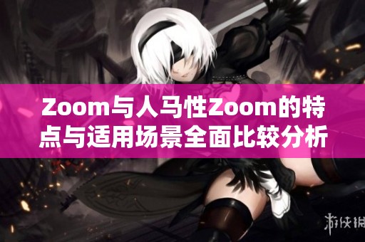 Zoom与人马性Zoom的特点与适用场景全面比较分析