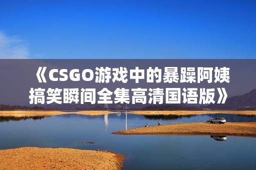 《CSGO游戏中的暴躁阿姨搞笑瞬间全集高清国语版》