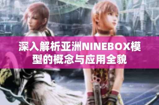 深入解析亚洲NINEBOX模型的概念与应用全貌