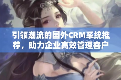 引领潮流的国外CRM系统推荐，助力企业高效管理客户关系