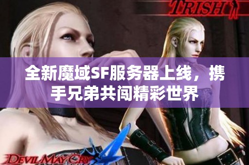 全新魔域SF服务器上线，携手兄弟共闯精彩世界