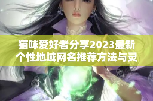 猫咪爱好者分享2023最新个性地域网名推荐方法与灵感