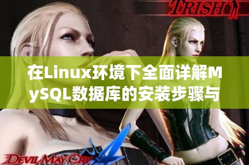 在Linux环境下全面详解MySQL数据库的安装步骤与注意事项